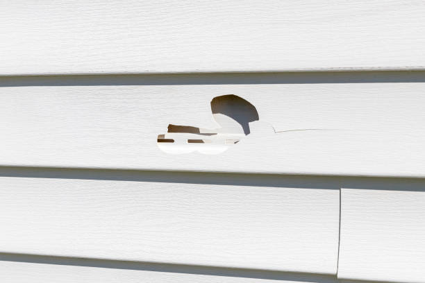 Best Siding Removal and Disposal  in Tara Hills, CA